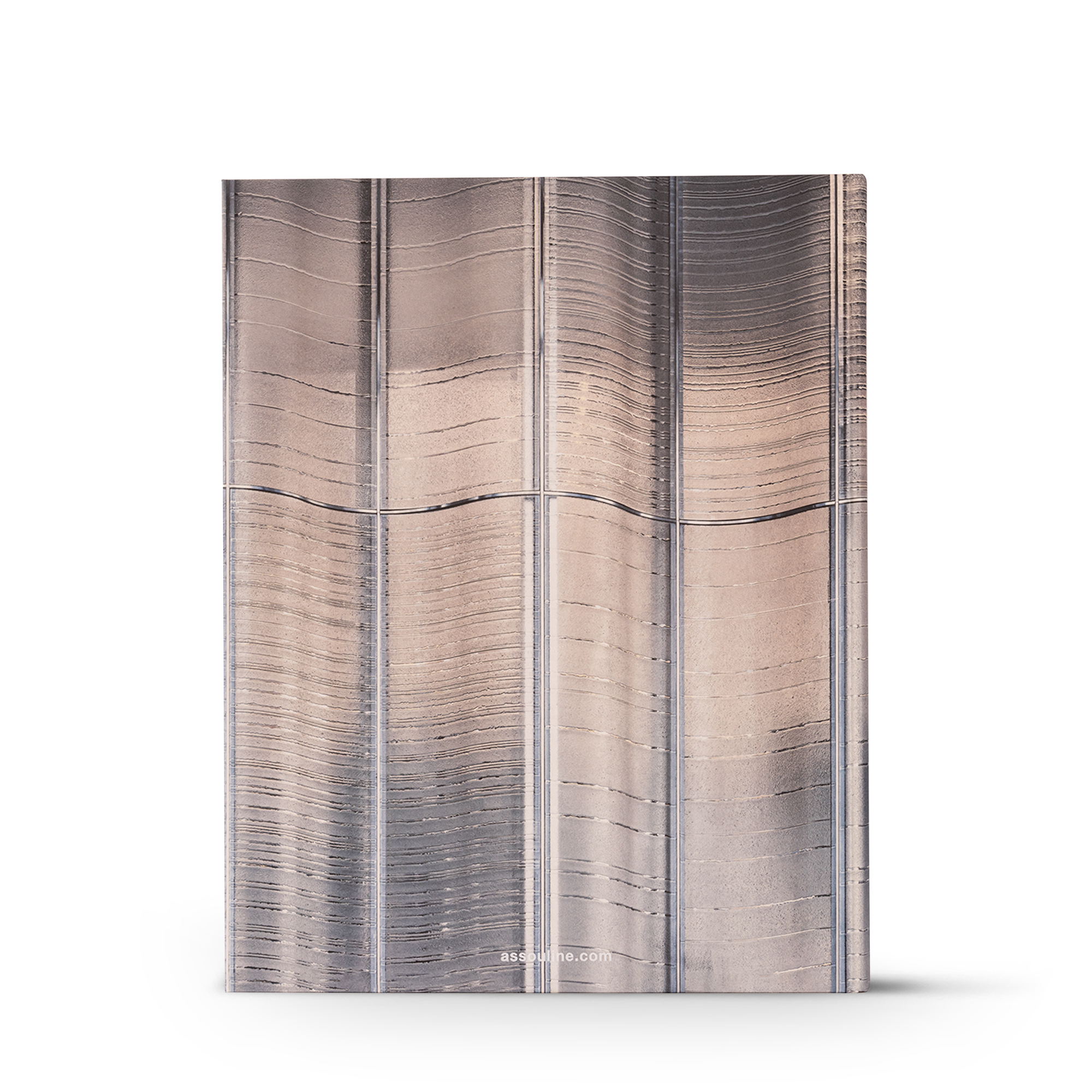 Louis Vuitton Skin: Architecture of Luxury Singapore - Library and